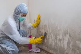 Best Crawl Space Mold Remediation in Bridgeville, PA